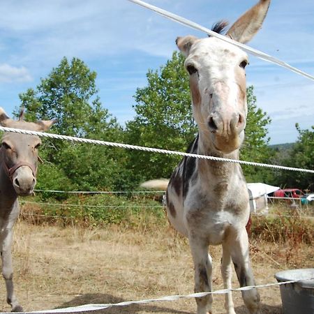 Camping La Foret Du Morvan Larochemillay Εξωτερικό φωτογραφία