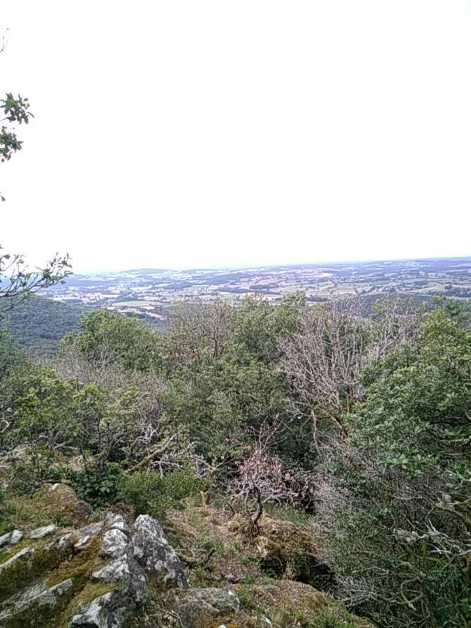 Camping La Foret Du Morvan Larochemillay Εξωτερικό φωτογραφία